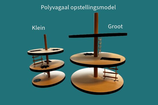 Polyvagaal opstellingsmodel 37 cm