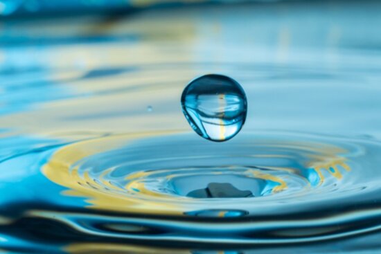 9-06-2026 Opstellingenmiddag 13.30 - 17:00 met Evelien (representant)