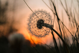 7 en 28-03-2026 2-daagse module Rouw & Verlies