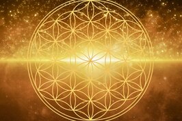 Start 13-11-2026 Spirituele leerweg | Aanbetaling